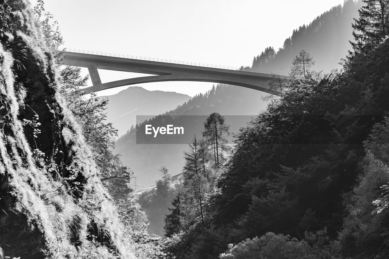 Bridge over forest against sky