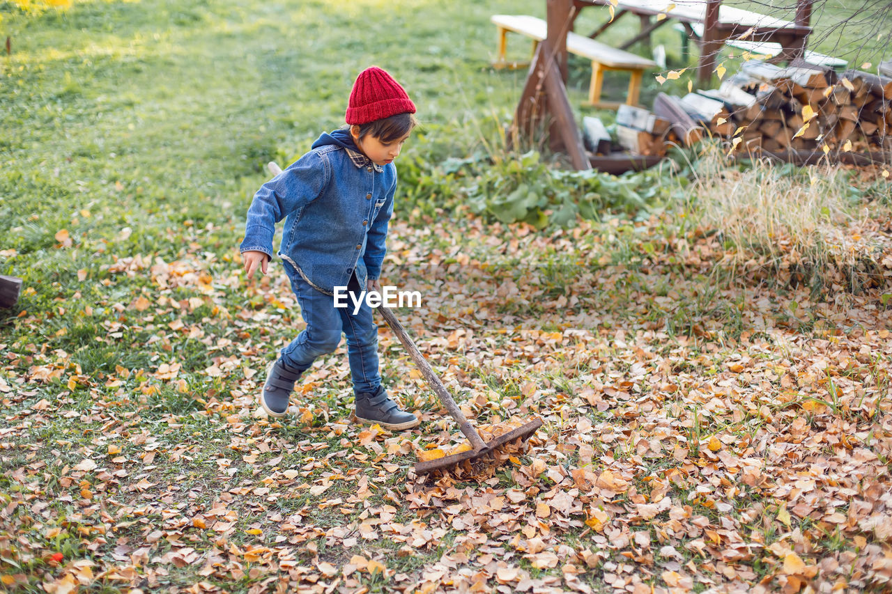 Portrait of a village boy child raking leaves in autumn at home