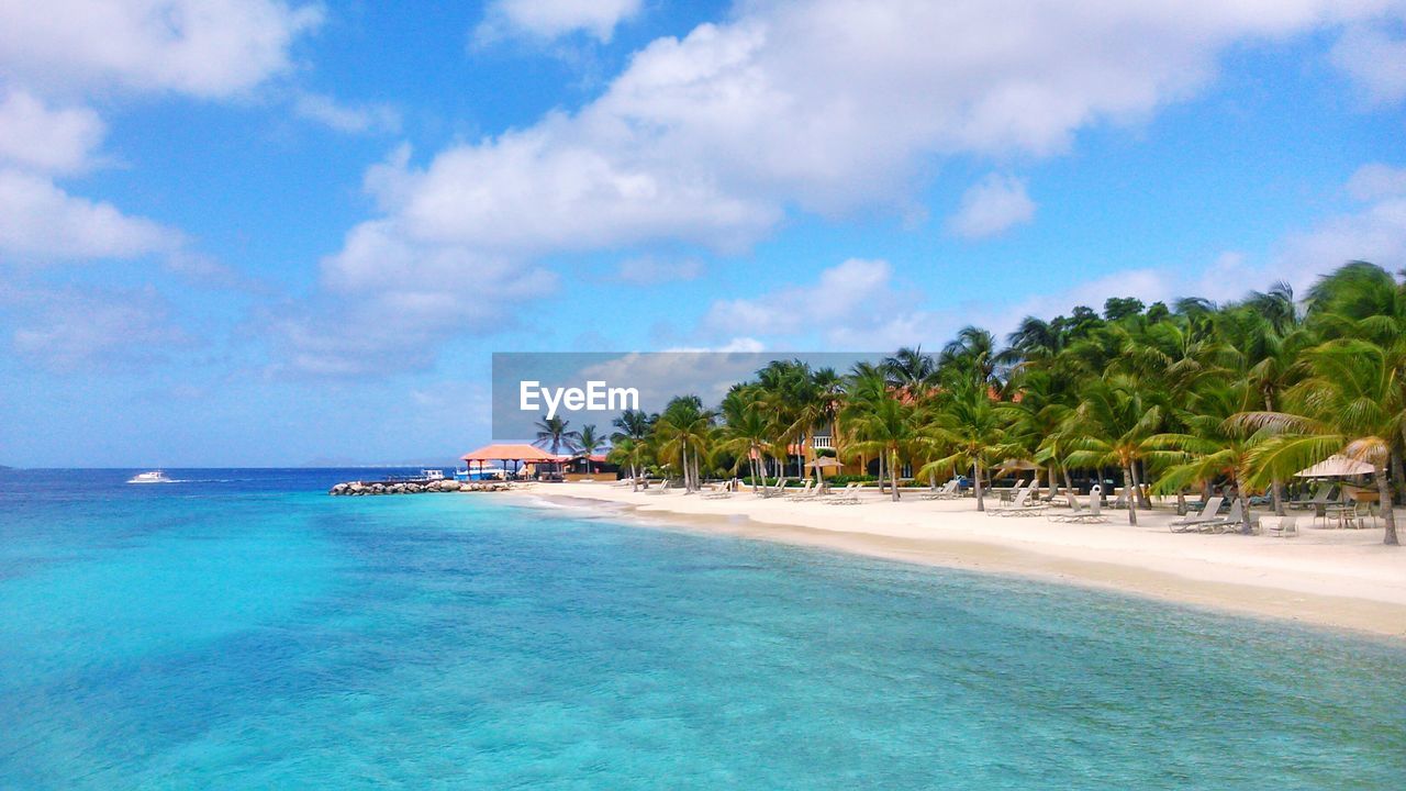 Coconut palm trees at beach with turquoise sea against sky