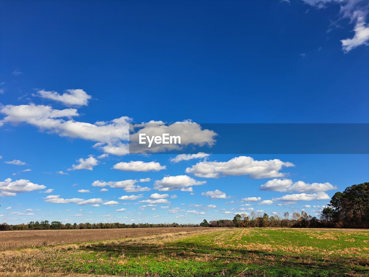 sky, landscape, environment, horizon, cloud, blue, grassland, nature, grass, plant, field, land, plain, scenics - nature, prairie, beauty in nature, rural scene, meadow, rural area, no people, hill, agriculture, tree, tranquility, travel, outdoors, day, tranquil scene, non-urban scene, natural environment, sunlight, travel destinations, food and drink, food, farm, steppe, horizon over land, crop, pasture, tourism, flower, cloudscape, summer