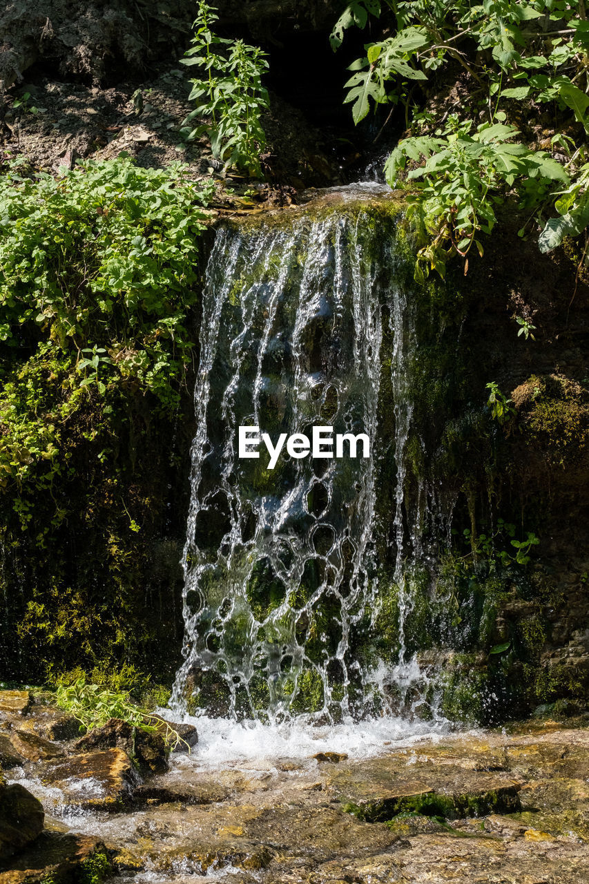 Scenic view of waterfall in forest