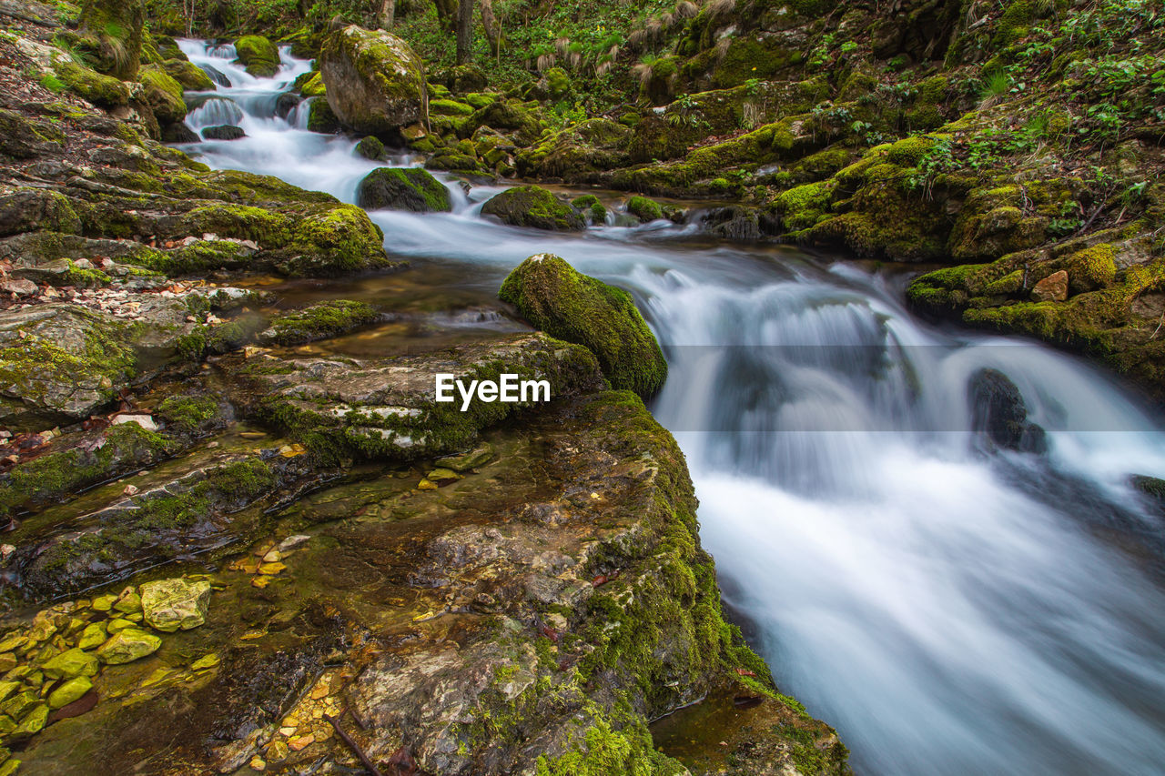 SCENIC VIEW OF WATERFALL