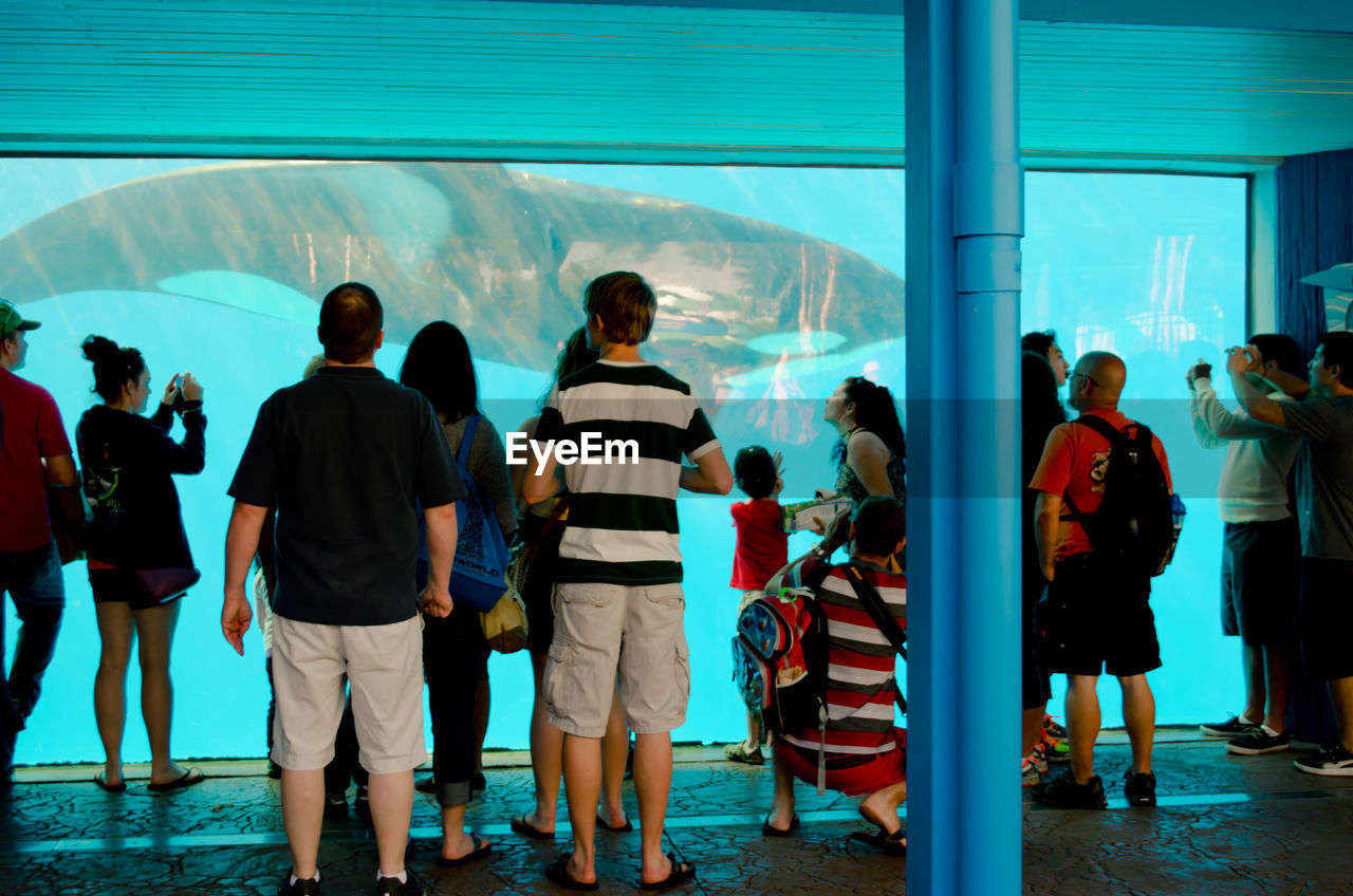 People looking at killer whale swimming in fish tank at aquarium