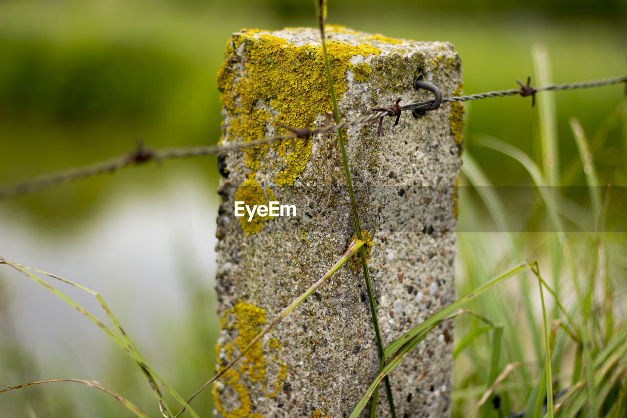 Detail shot of pole against blurred background