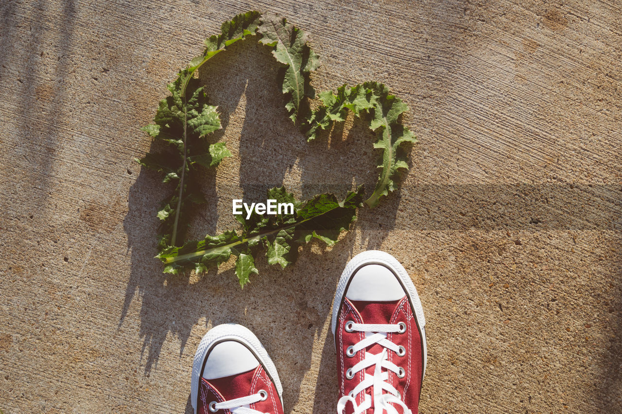 Close-up of shoe by heart shape leaf