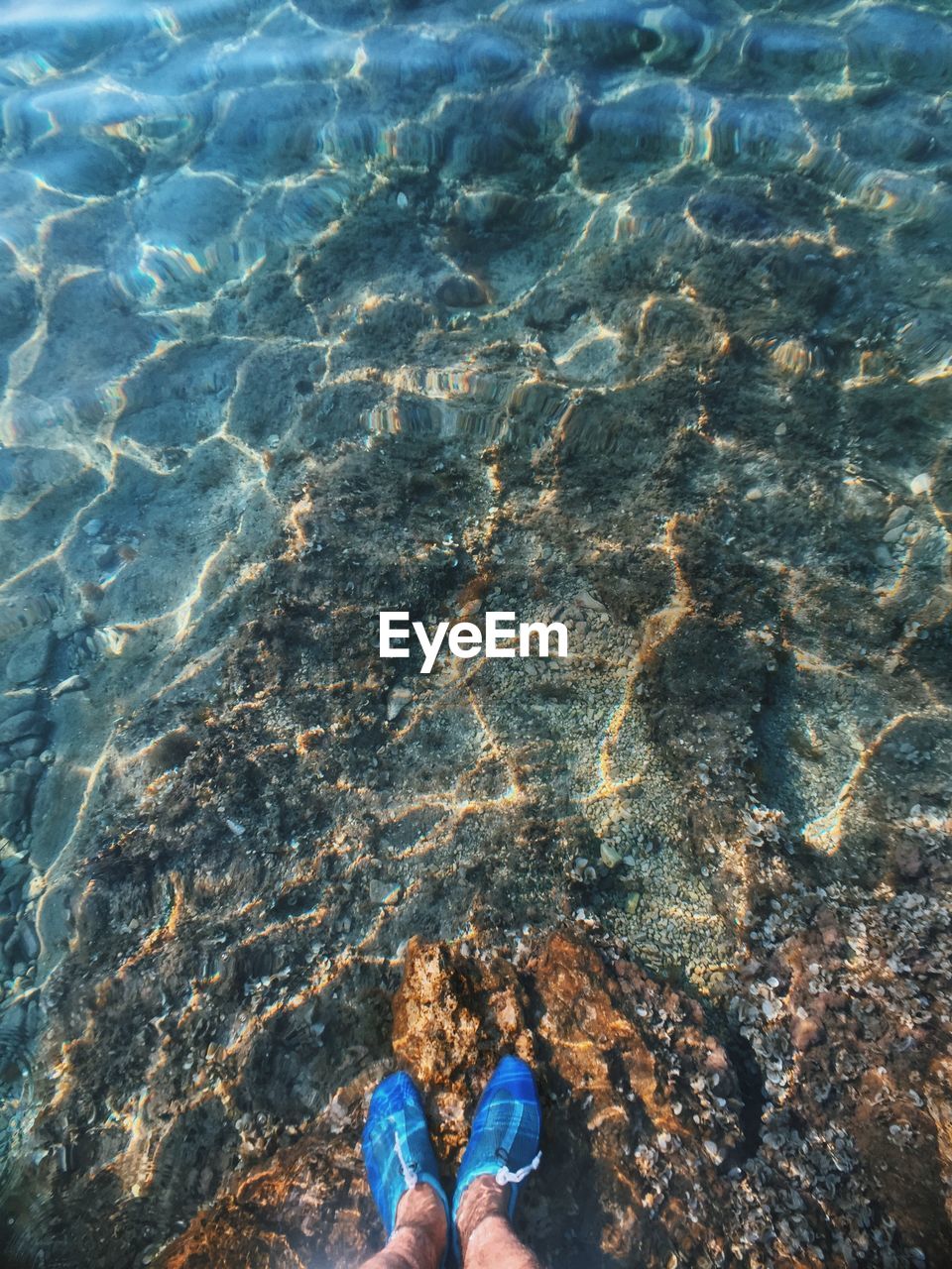 Low section of person standing on rock at sea