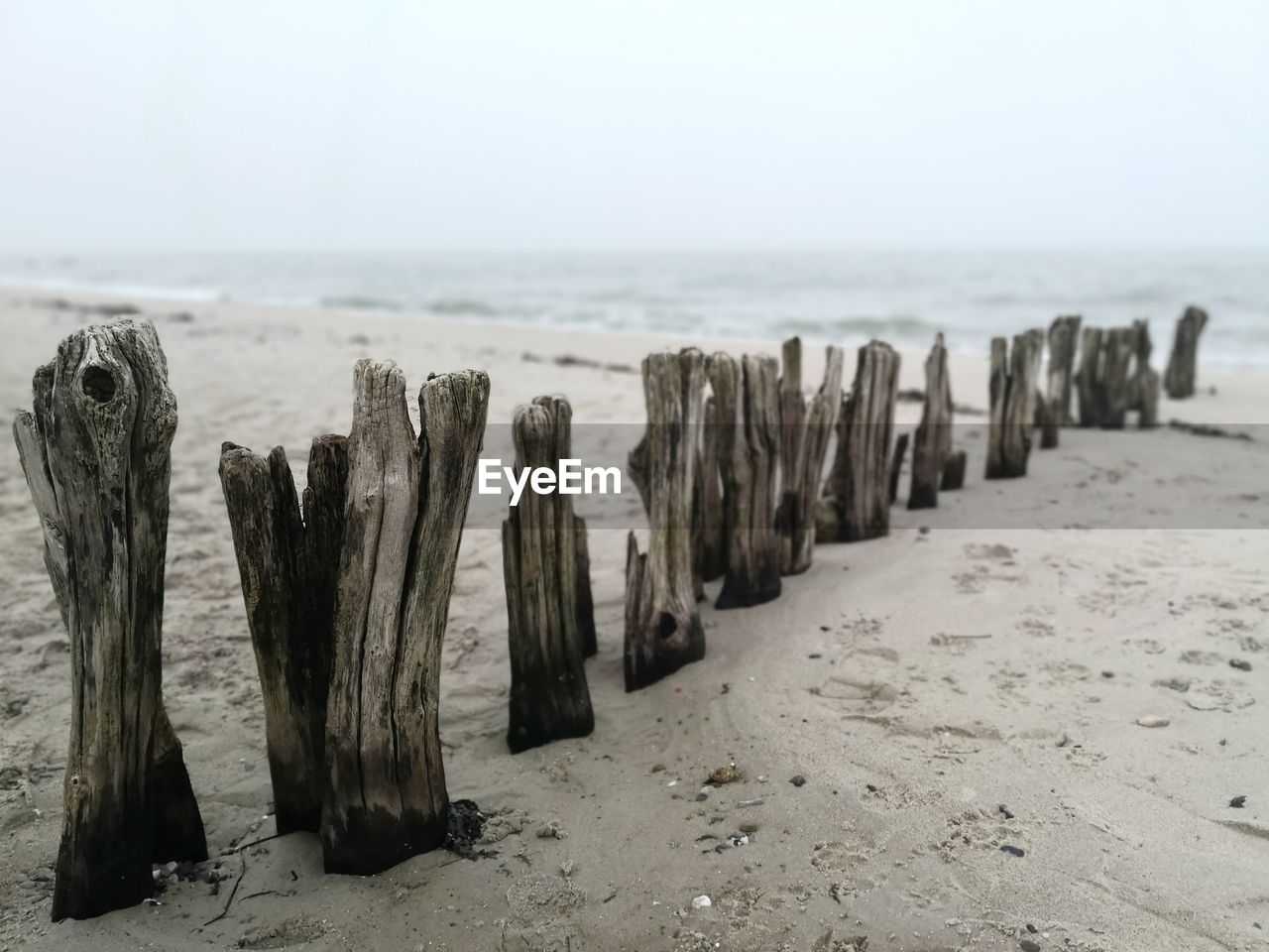 PANORAMIC VIEW OF WOODEN POSTS ON BEACH