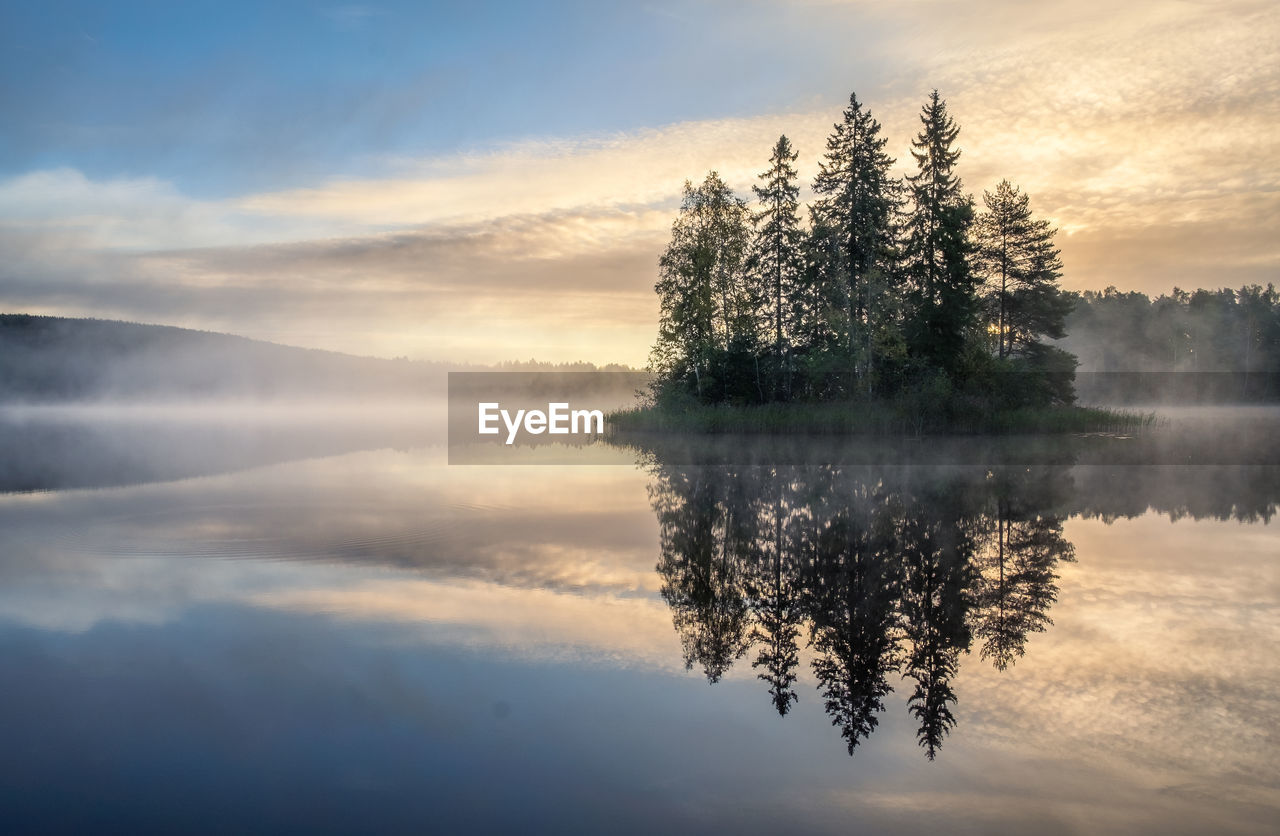 TREES BY LAKE AGAINST SKY DURING SUNSET