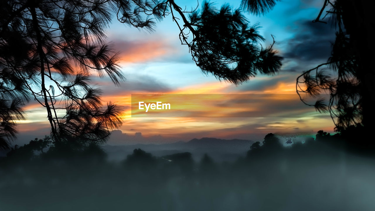 Silhouette trees against dramatic sky during sunset