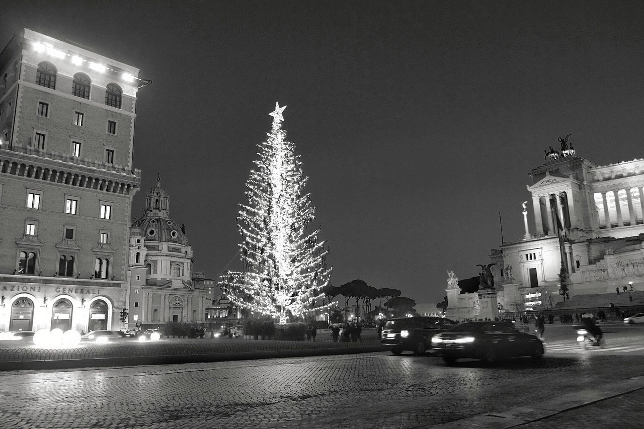 ILLUMINATED CHRISTMAS TREE AT NIGHT