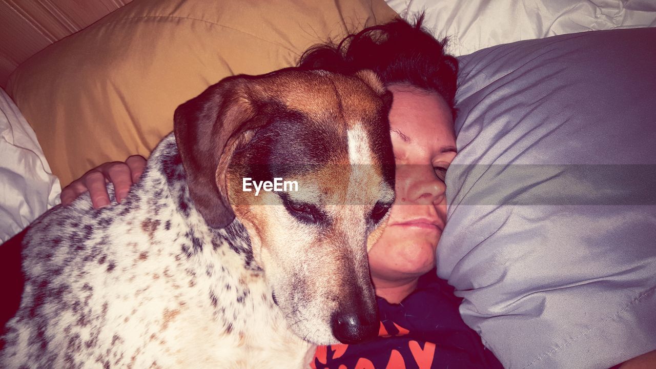 CLOSE-UP OF A DOG SLEEPING ON BED