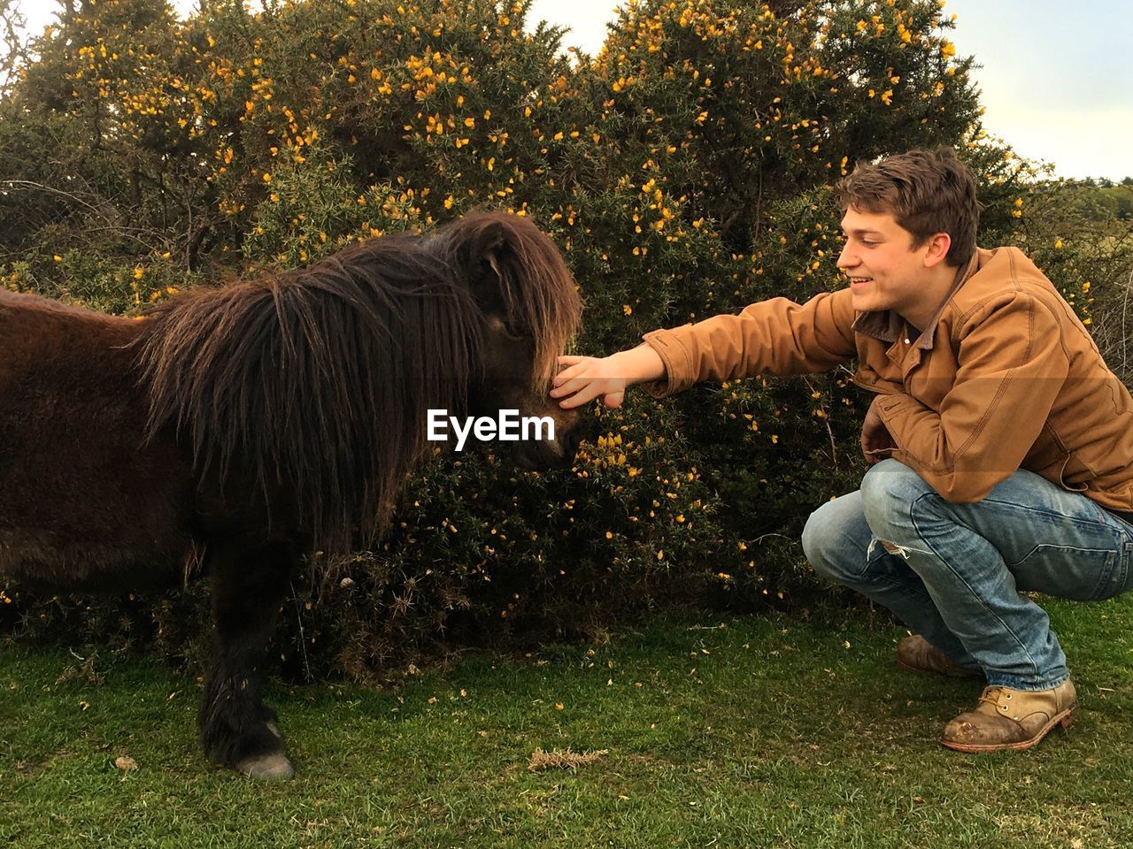 FULL LENGTH OF BOY WITH HORSE IN PARK