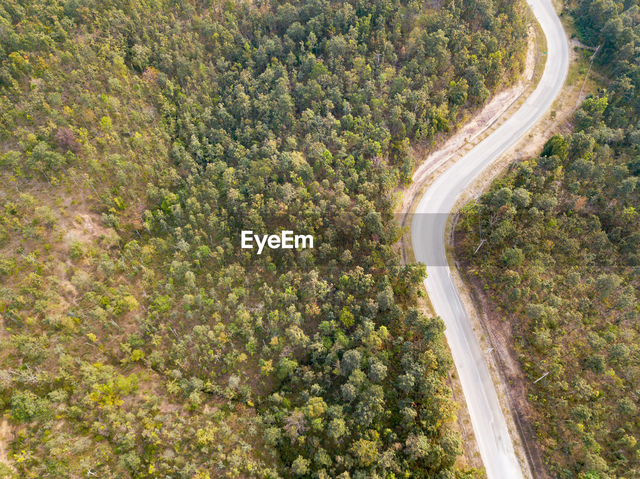 HIGH ANGLE VIEW OF ROAD AMIDST TREES ON LANDSCAPE