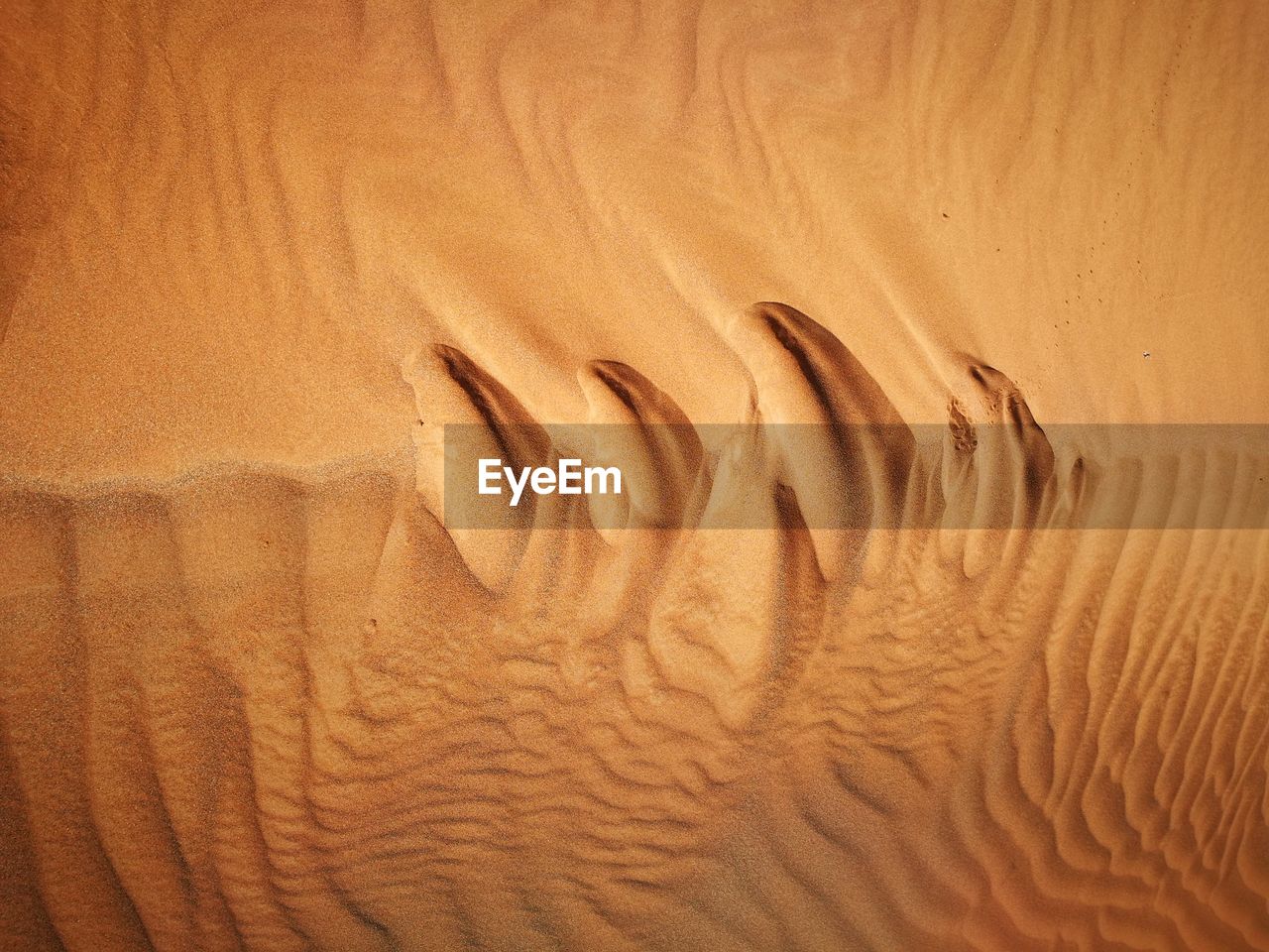 Close-up of sand