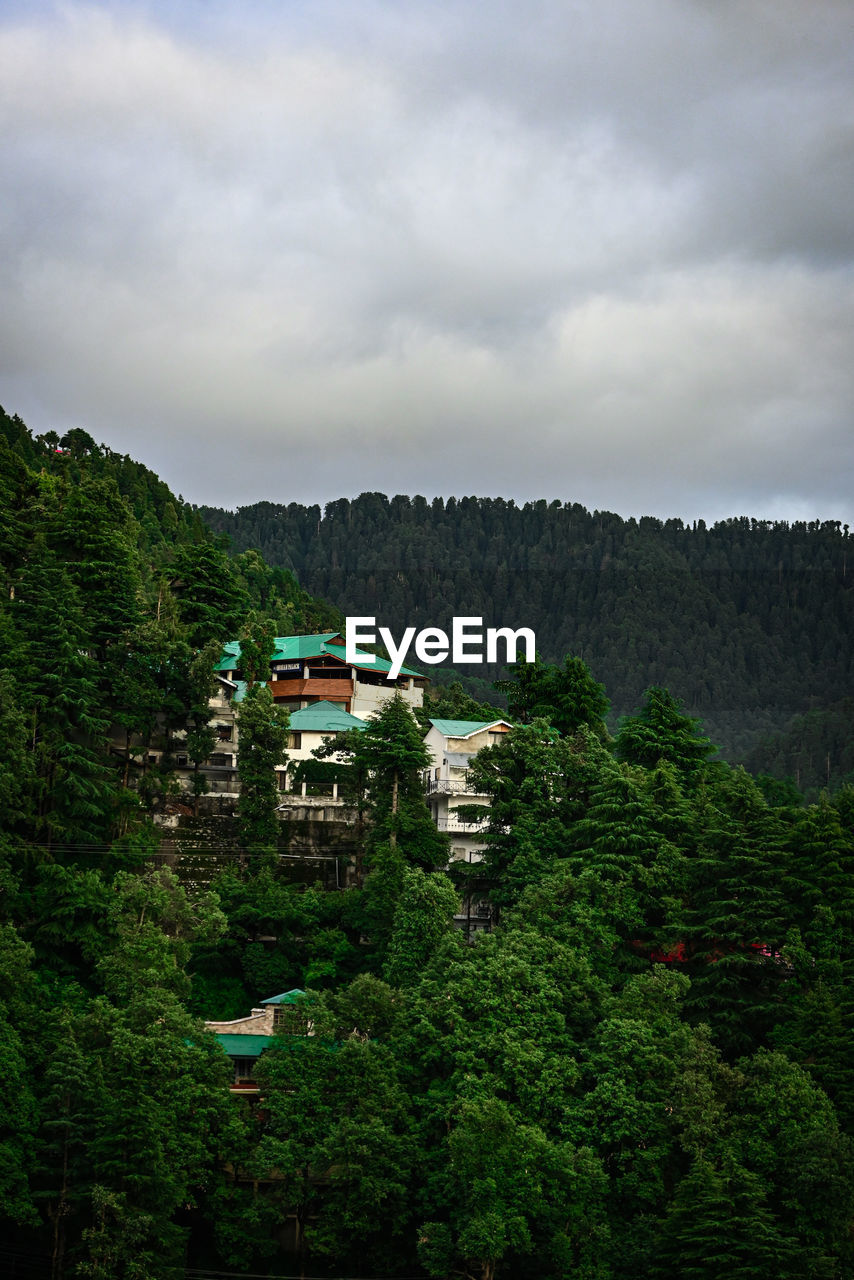 plant, tree, architecture, hill, cloud, nature, sky, land, environment, building, built structure, landscape, house, building exterior, forest, travel, no people, green, tourism, scenics - nature, travel destinations, rural area, beauty in nature, outdoors, residential district, rural scene, village, overcast, growth, holiday, transportation, mountain range, vacation, city, trip, foliage, social issues