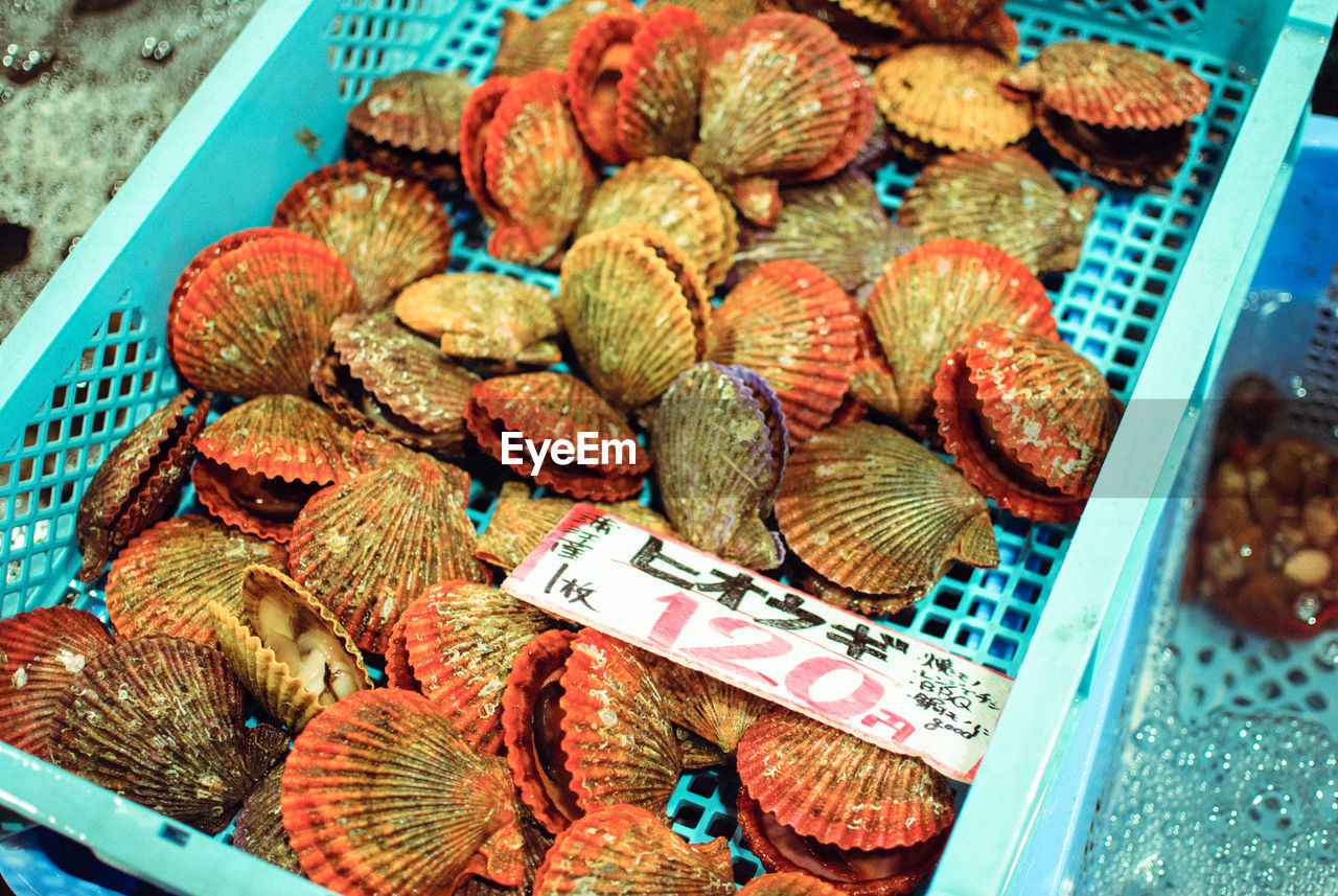 High angle view of seafood clams for sale in market