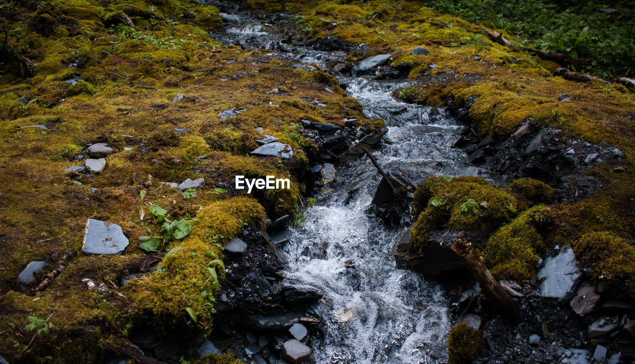 River stream amidst rocks in forest