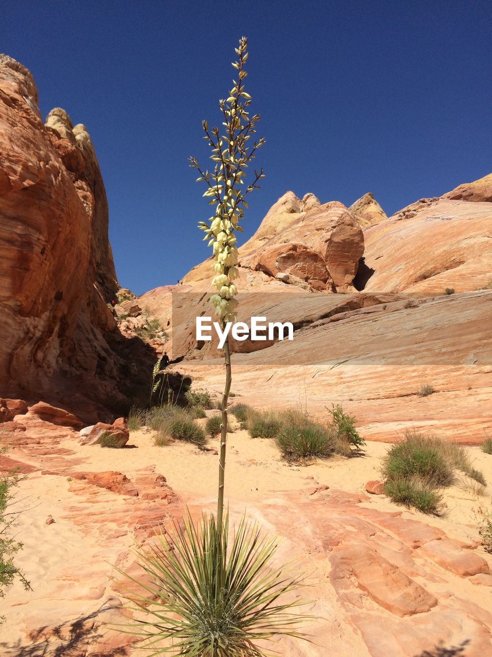 LOW ANGLE VIEW OF ROCK FORMATION IN DESERT AGAINST CLEAR BLUE SKY