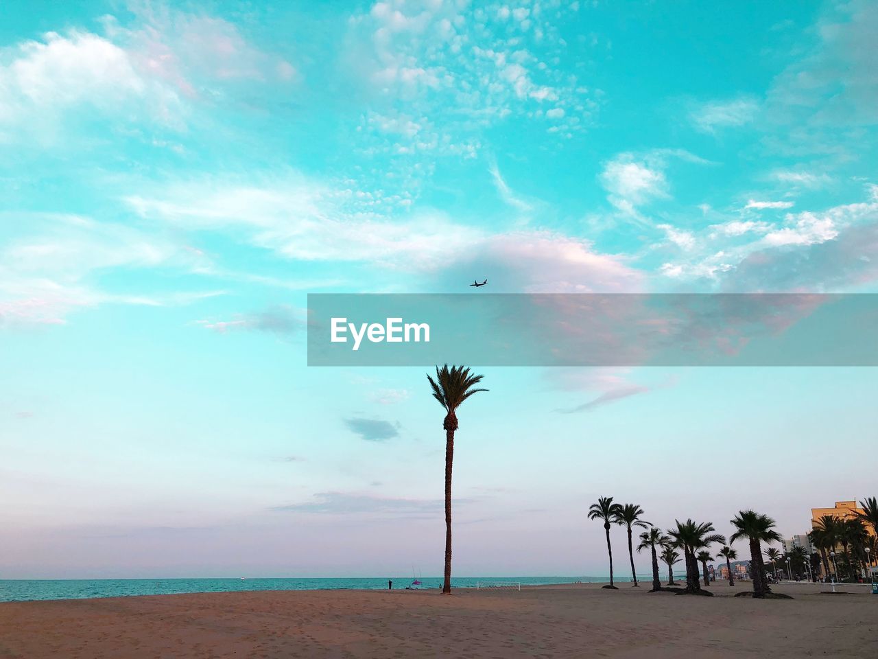 PALM TREE ON BEACH AGAINST SKY