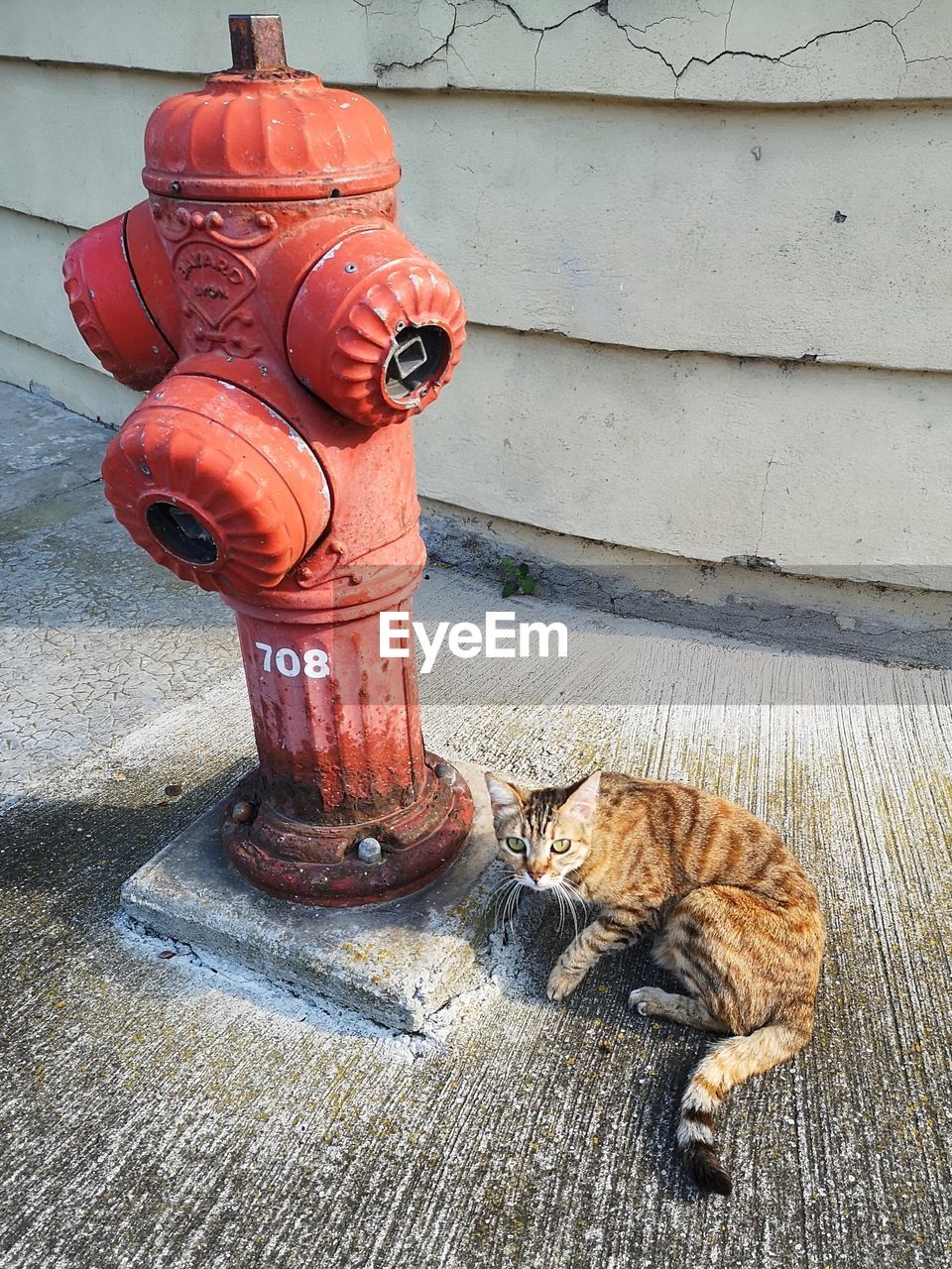 CLOSE-UP OF FIRE HYDRANT