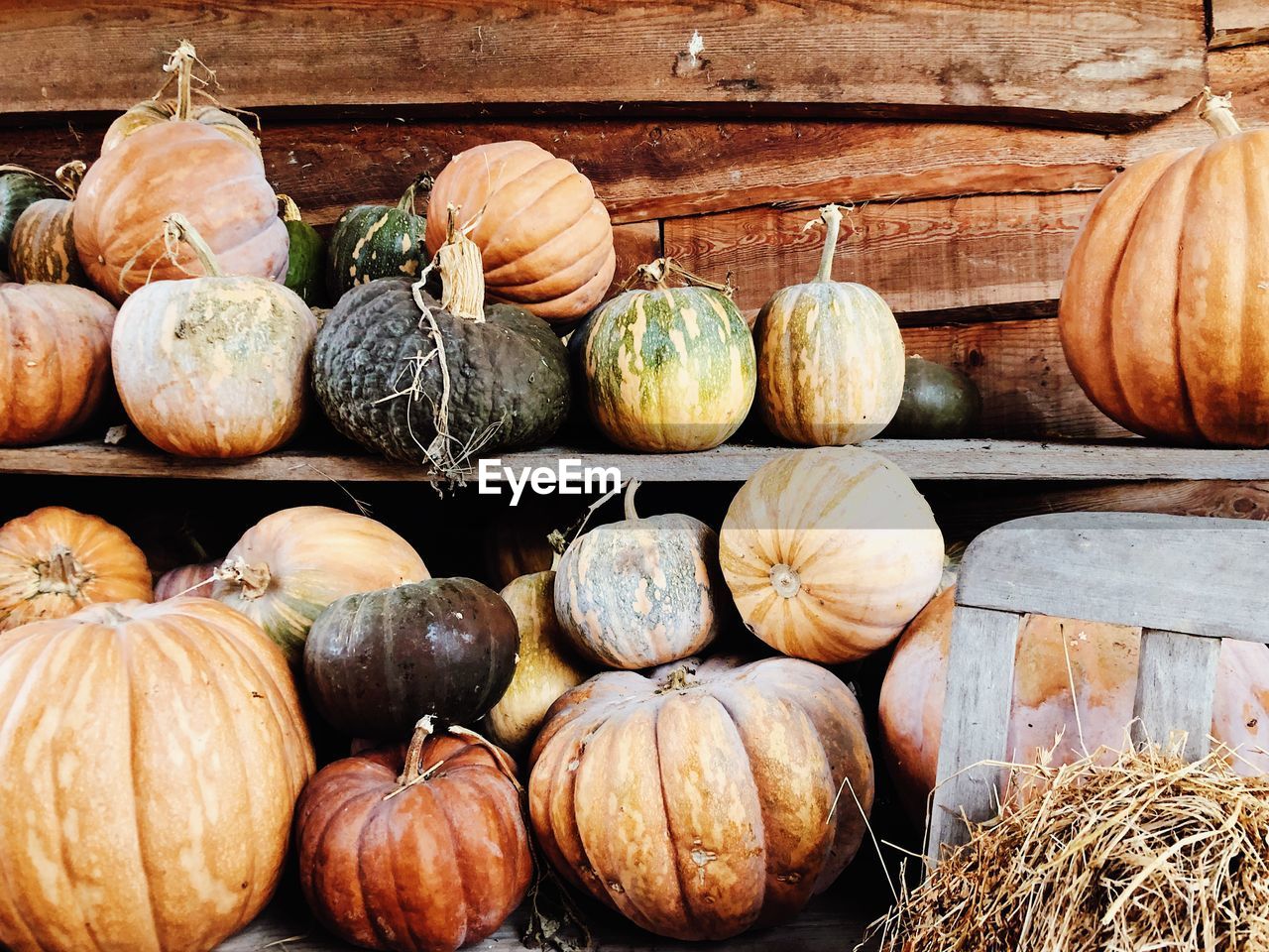 Pumpkins for sale at market