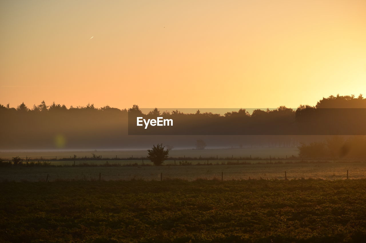 TREES ON FIELD AGAINST SKY AT SUNSET