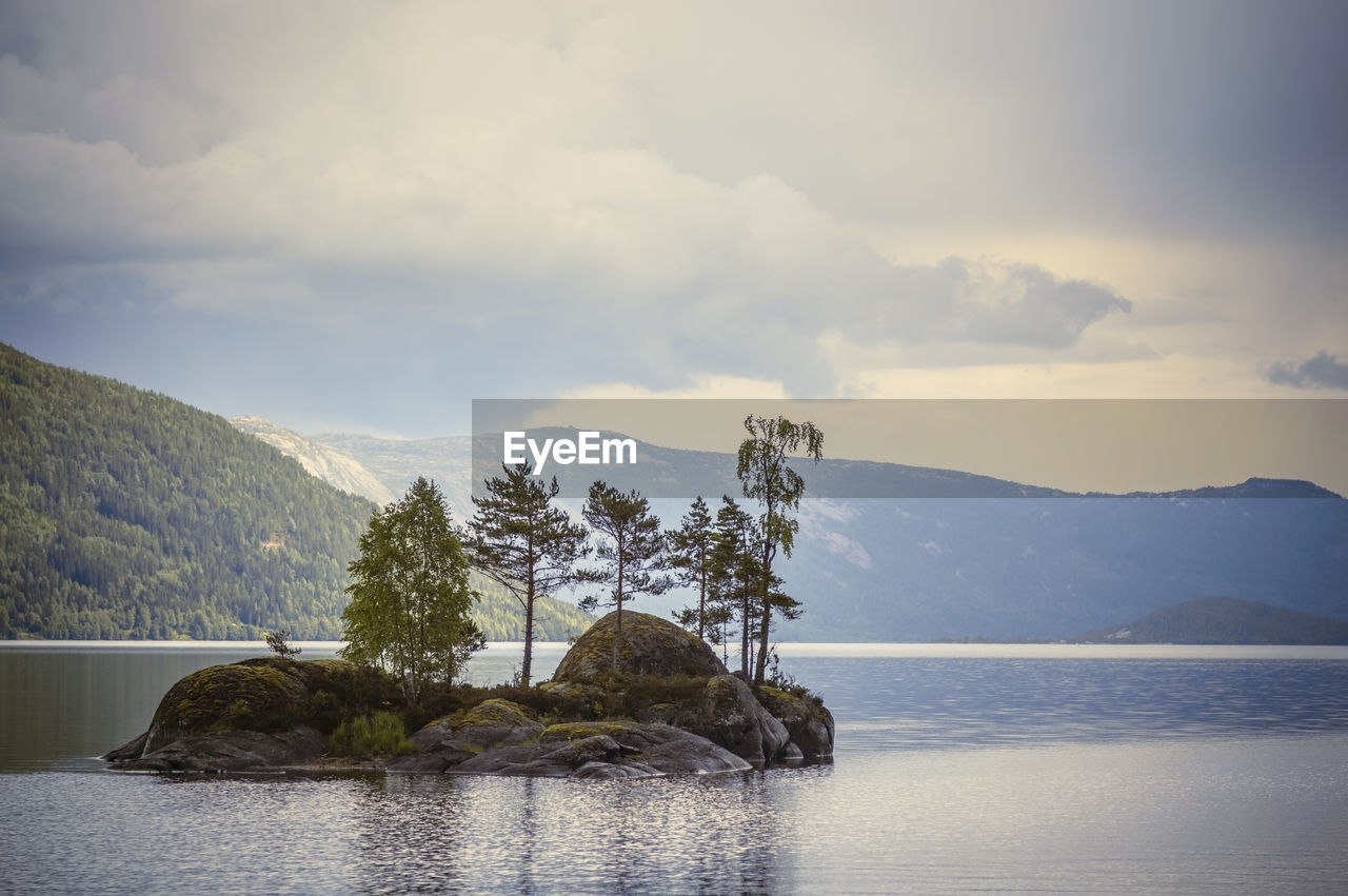 Scenic view of tree by mountains against sky