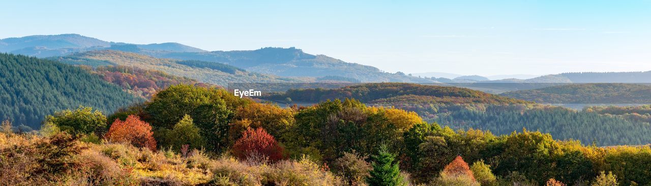 Scenic view of trees and mountains against sky