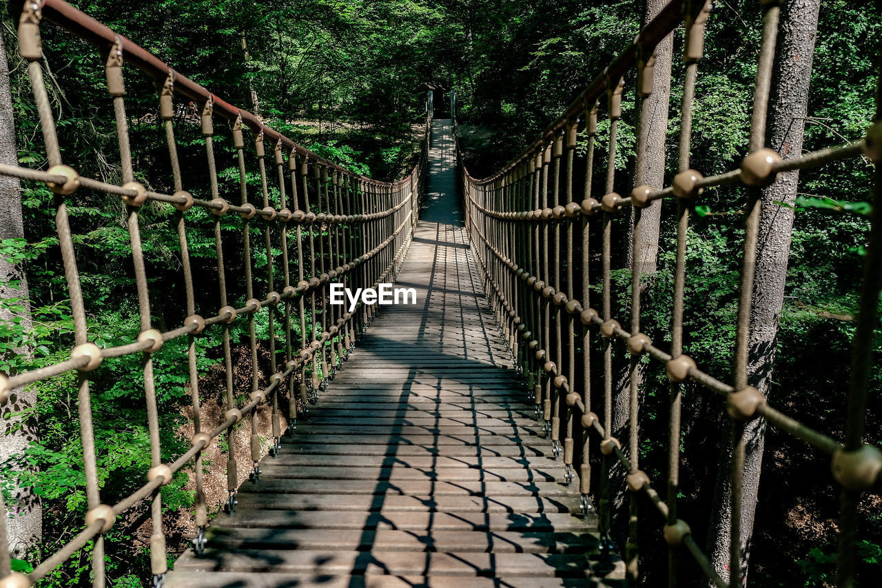 Footbridge in forest