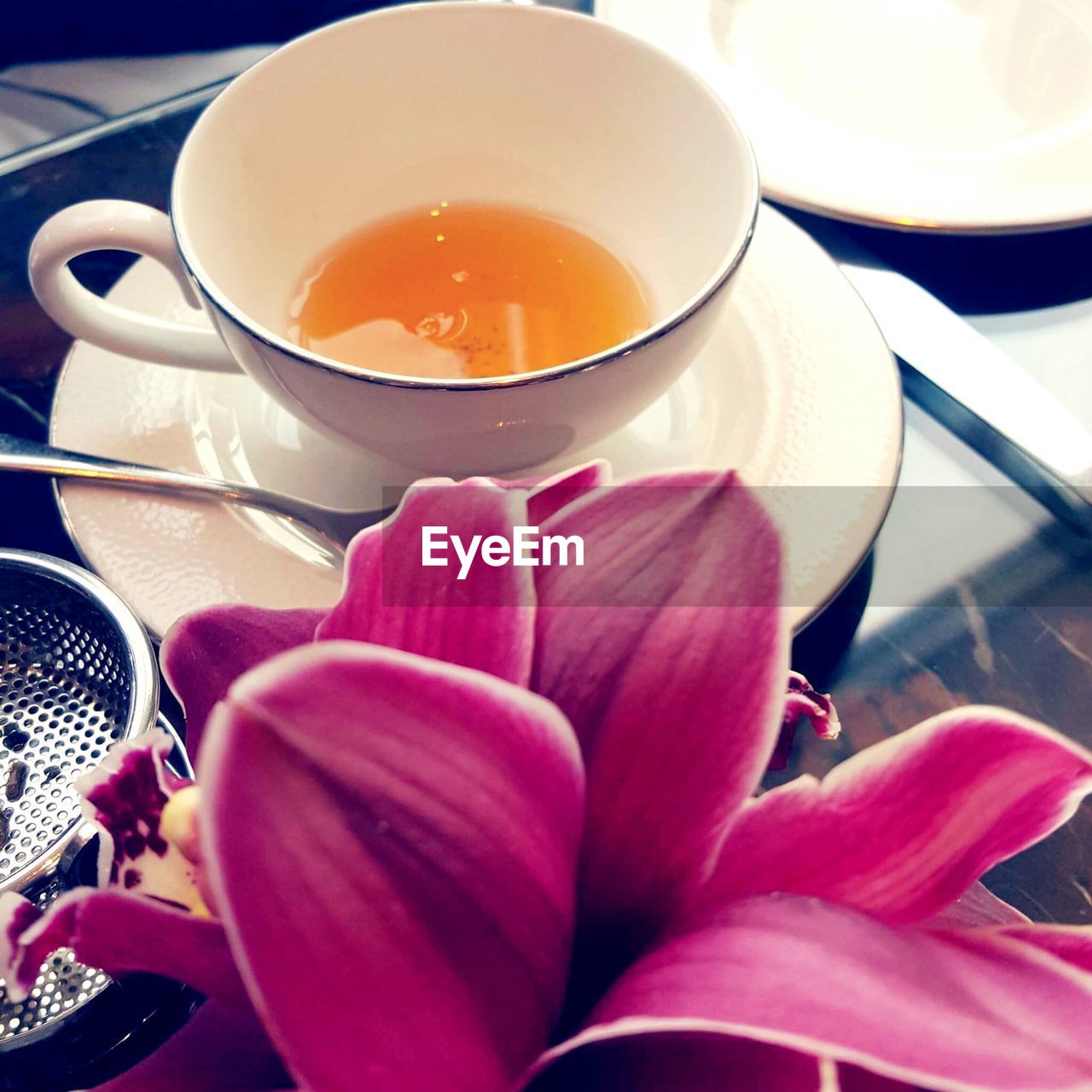 High angle view of flower and tea cup on table