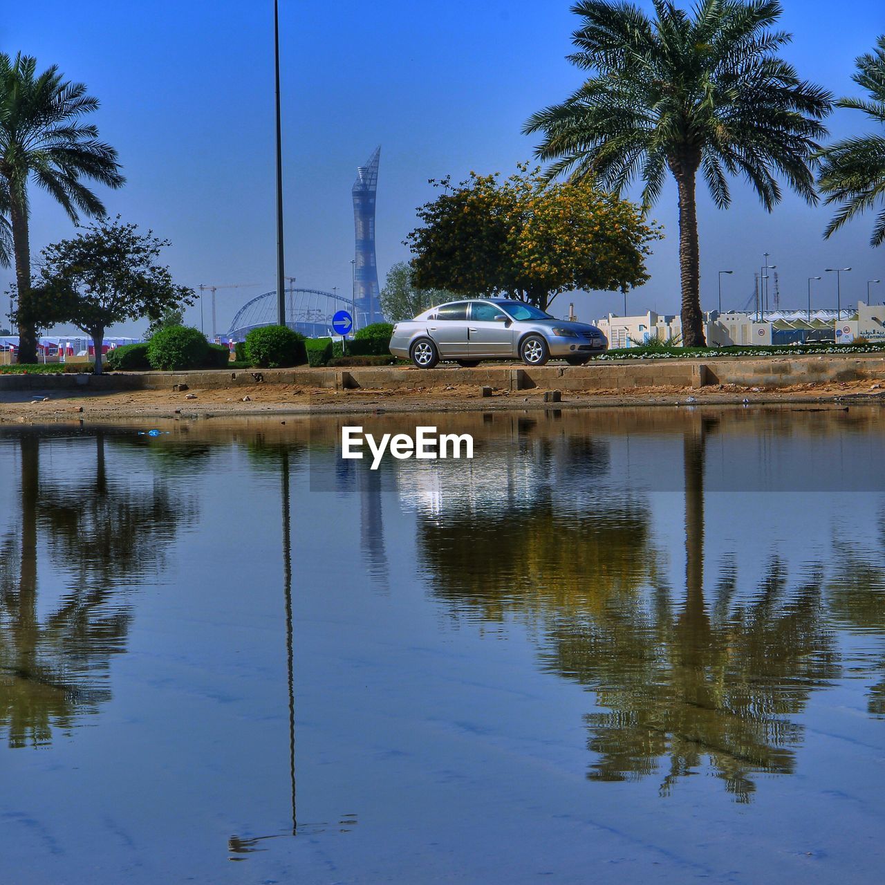 REFLECTION OF PALM TREES IN WATER