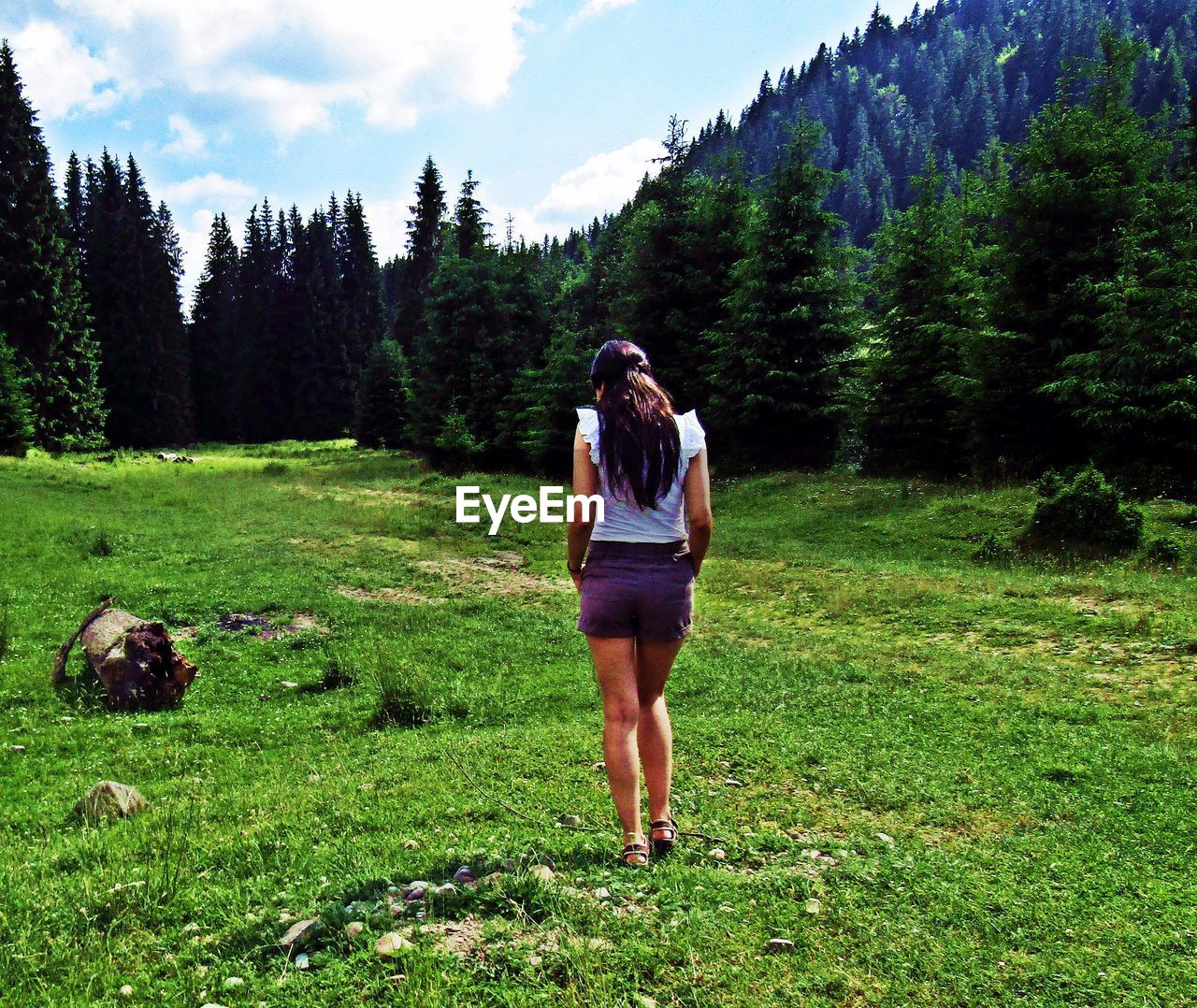 Rear view of woman standing in forest