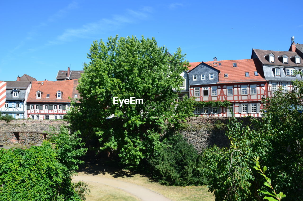 Trees and buildings in town against blue sky