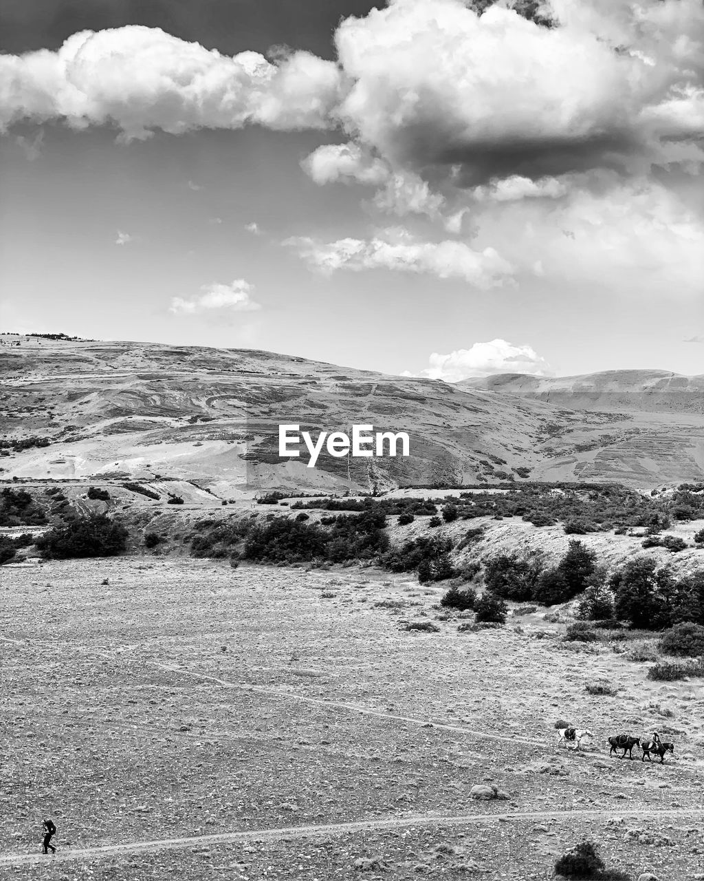 Black and white photo landscape at torres del paine 