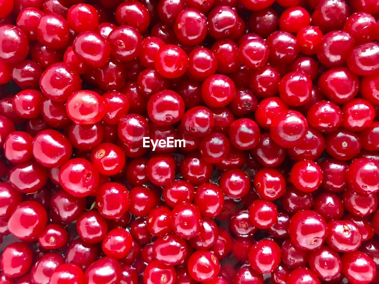 Full frame shot of red berries