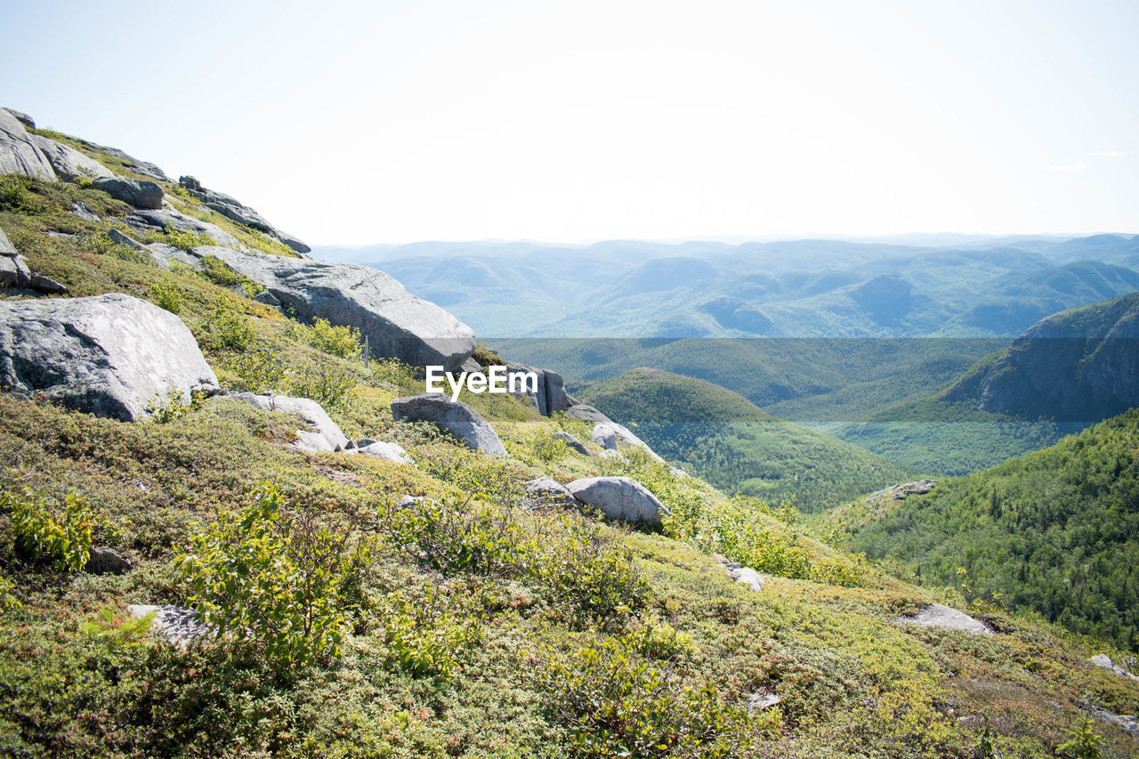 Scenic view of landscape against clear sky