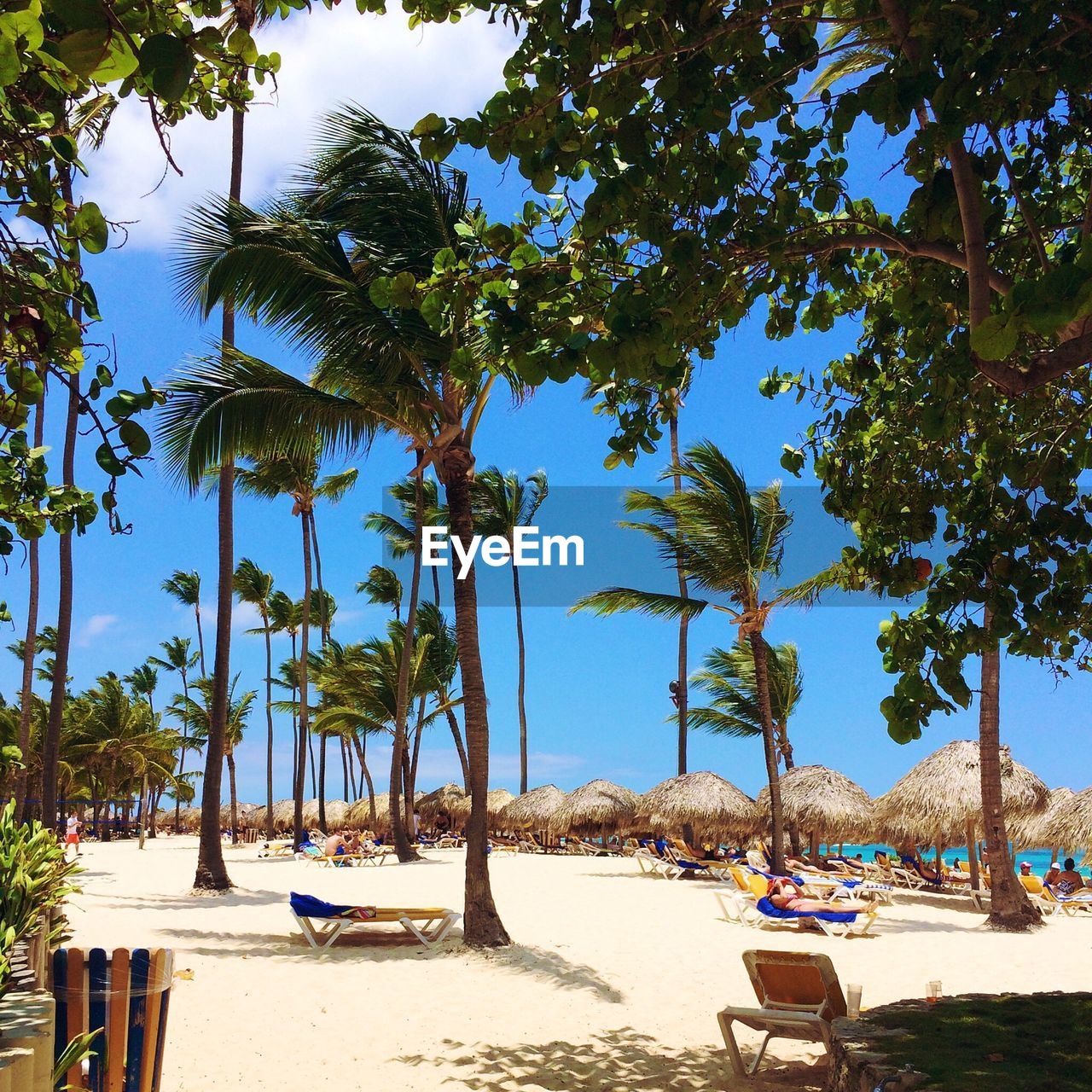 SCENIC VIEW OF BEACH AGAINST CLEAR BLUE SKY