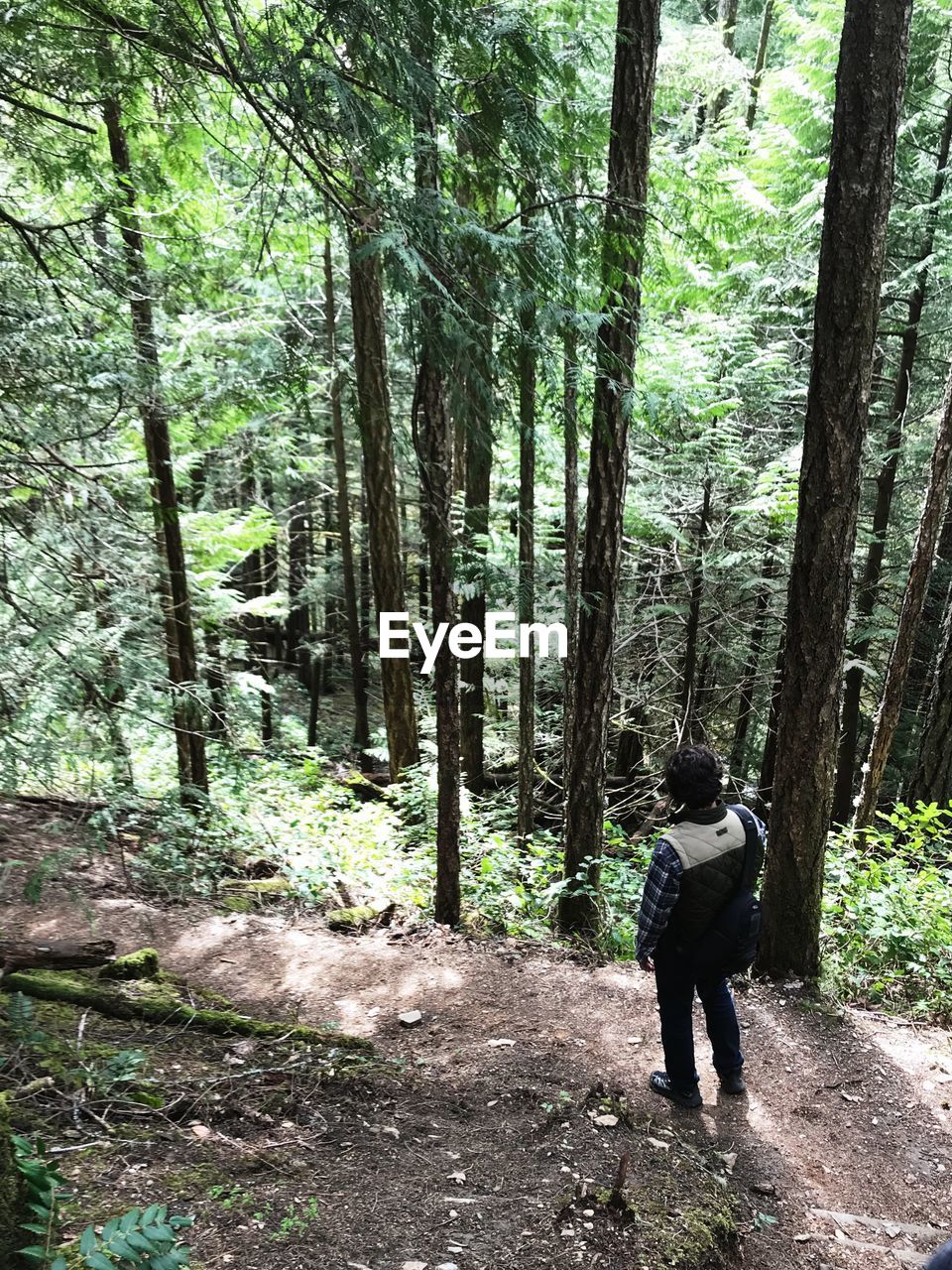 REAR VIEW OF MAN STANDING BY TREE IN FOREST