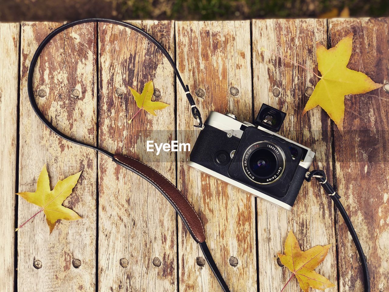 HIGH ANGLE VIEW OF YELLOW AND LEAVES ON TABLE