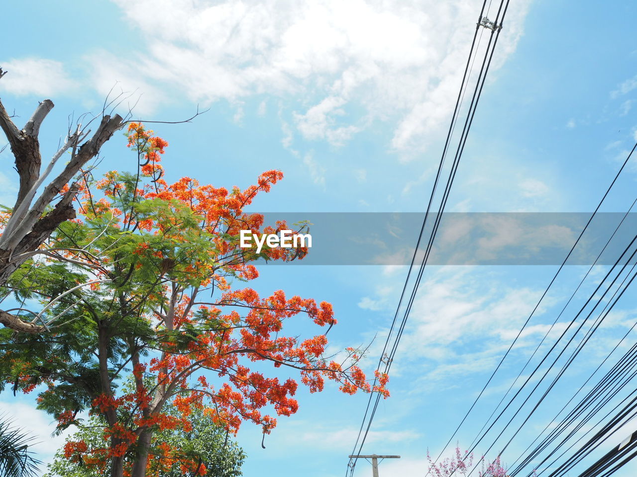 LOW ANGLE VIEW OF POWER LINES AGAINST CLOUDY SKY