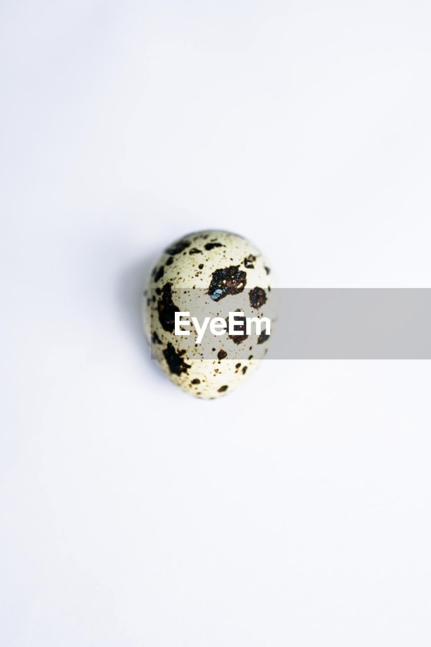 Directly above shot of quail egg against white background