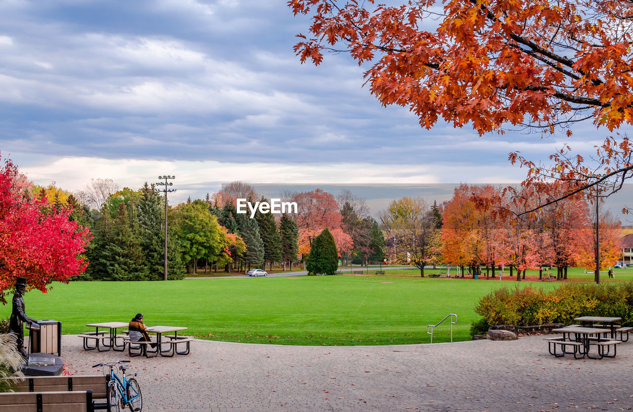 Trees in park against sky during autumn