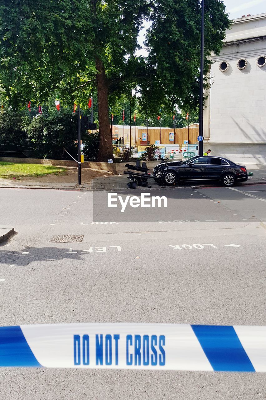 CAR ON ROAD BY TREES