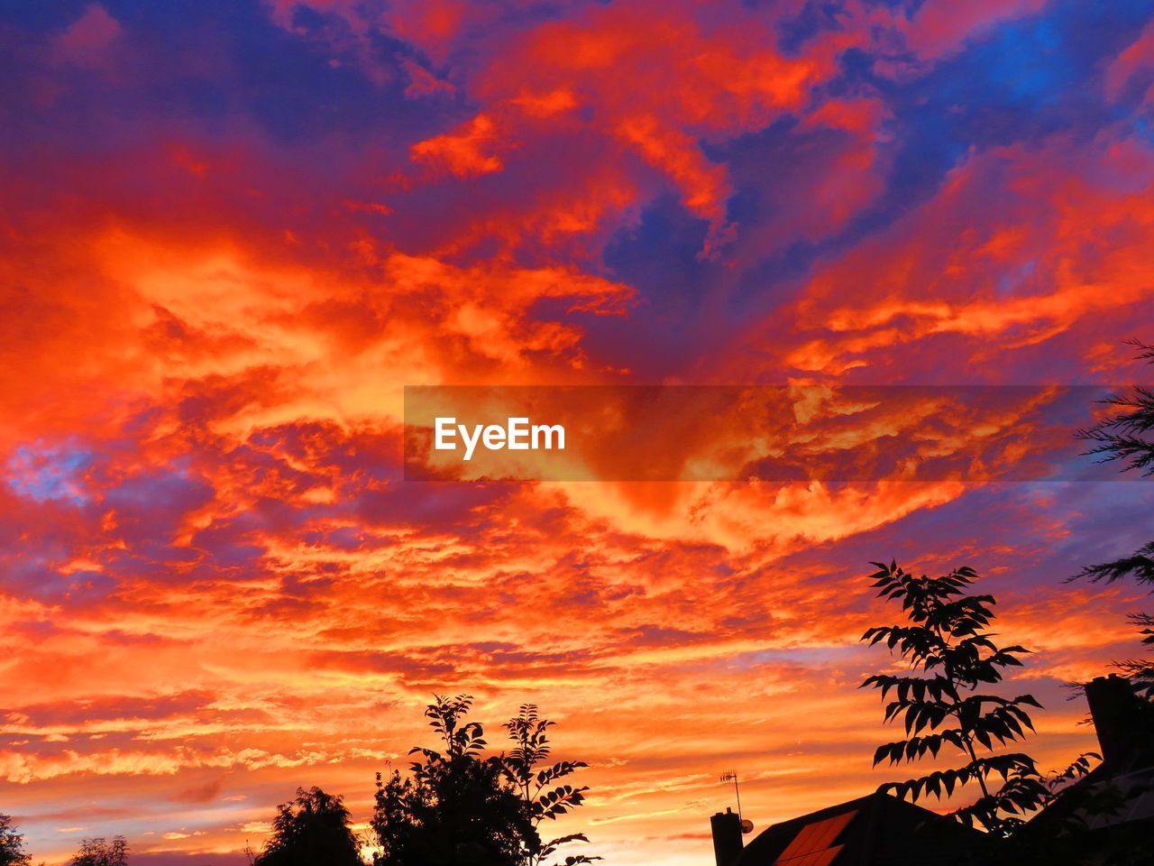 Low angle view of silhouette trees against dramatic sky