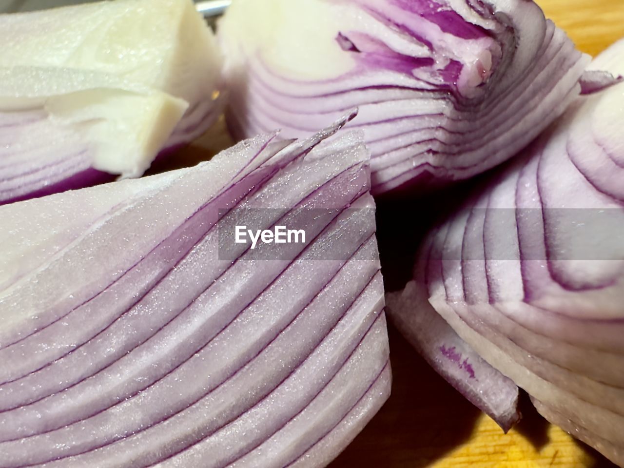 purple, pink, petal, food and drink, freshness, food, flower, vegetable, close-up, no people, healthy eating, onion, wellbeing, produce, indoors, red onion, still life, violet, lavender, lilac, raw food