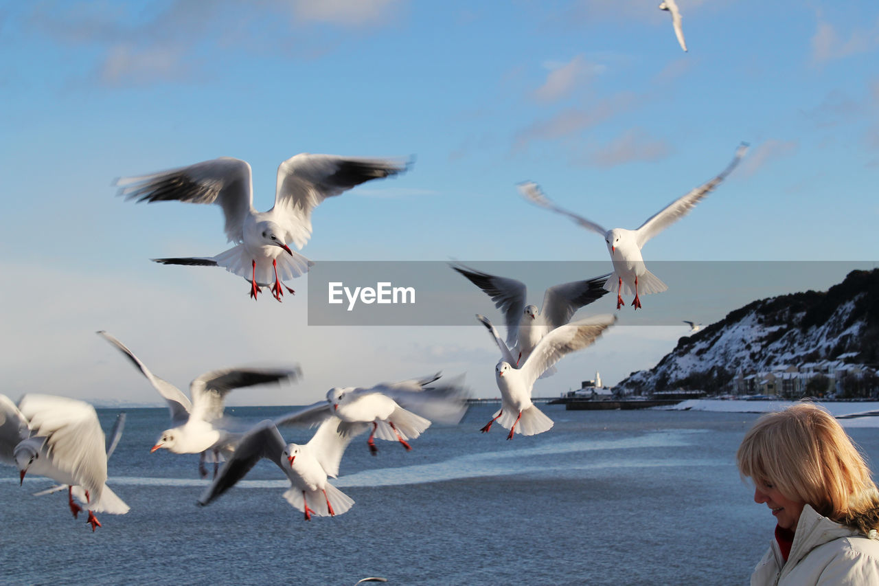 Birds flying over woman against sky