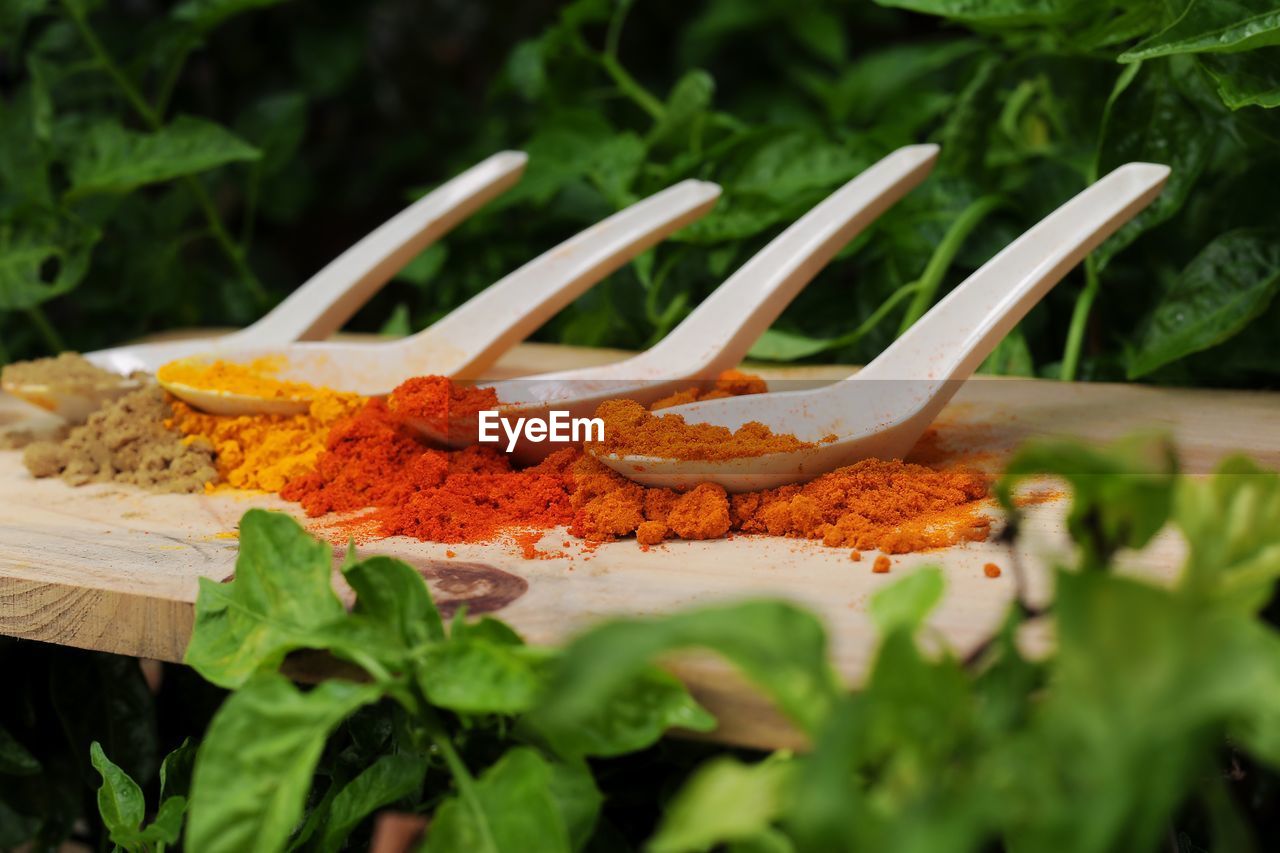 CLOSE-UP OF FRESH FOOD ON TABLE