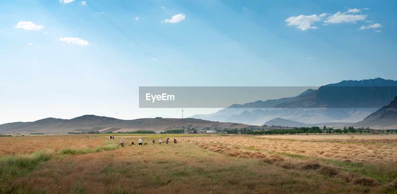 VIEW OF A FIELD AGAINST SKY