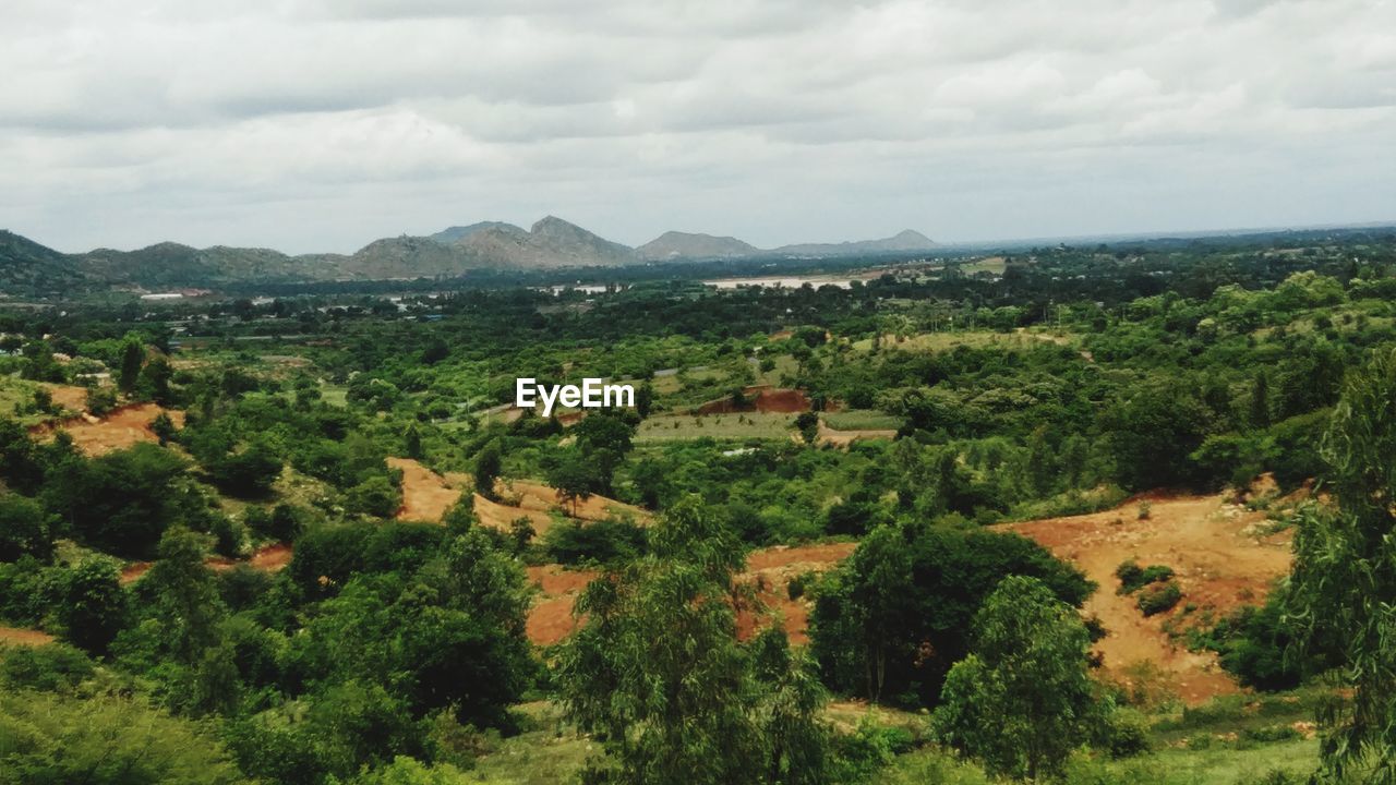 Scenic view of green landscape and mountains against sky