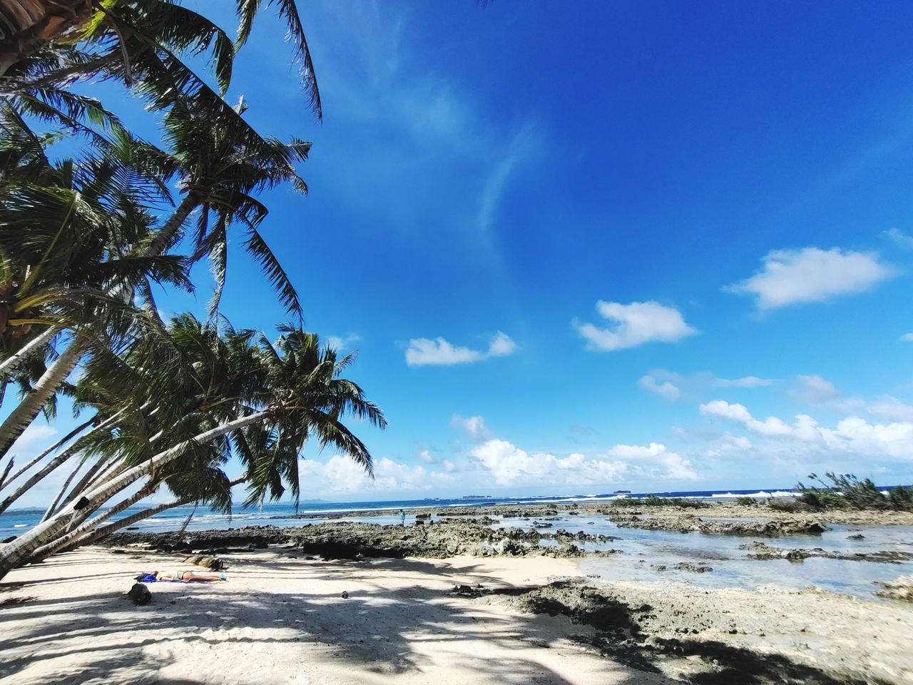 sky, water, land, beach, sea, tree, ocean, palm tree, tropical climate, nature, shore, beauty in nature, scenics - nature, coast, cloud, sand, body of water, plant, tranquility, sunlight, tranquil scene, blue, coconut palm tree, travel destinations, day, travel, holiday, vacation, idyllic, outdoors, environment, no people, trip, wave, tropical tree, horizon over water, coastline, horizon, landscape, tropics, tourism, bay, sunny, island, non-urban scene